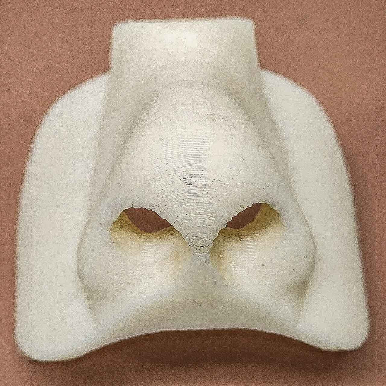 Mochtech Nose Piece Attachment, main image