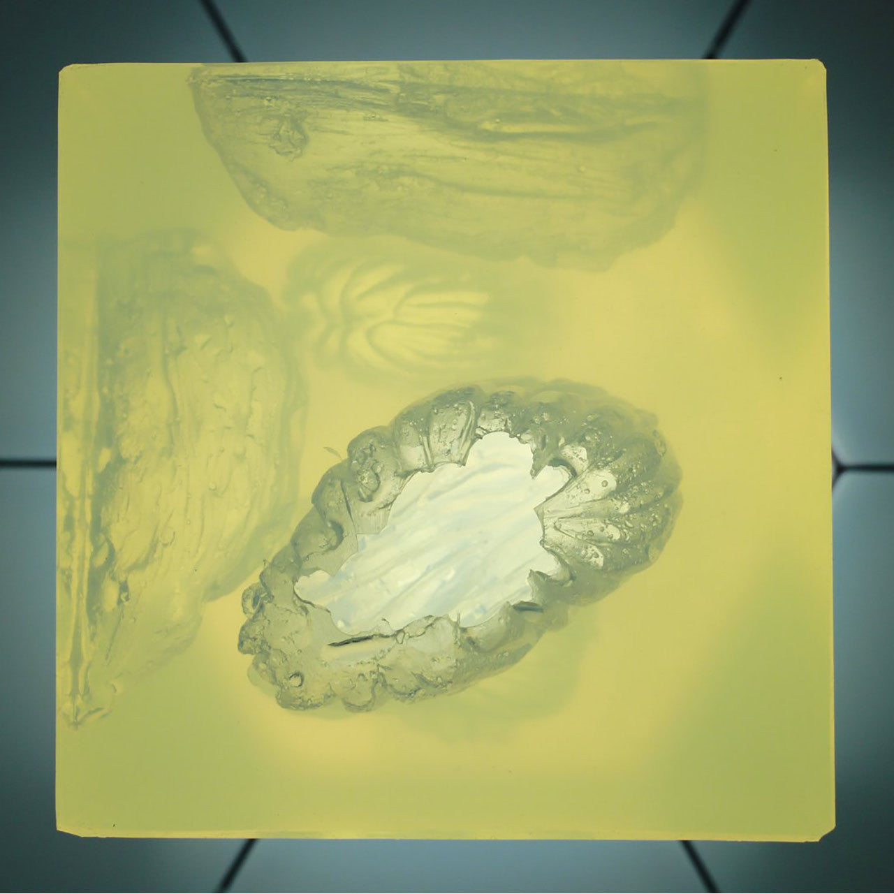 Wound Cube by Phokus Research showing simulated gunshot wounds various calibers