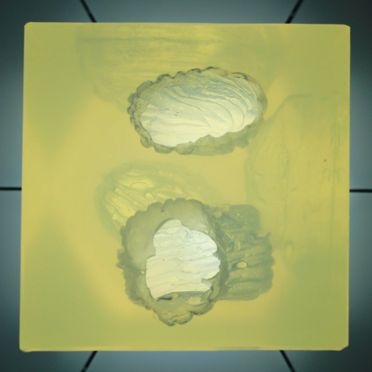 Wound Cube by Phokus Research showing simulated gunshot wounds in various calibers