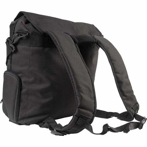 Backpack, back