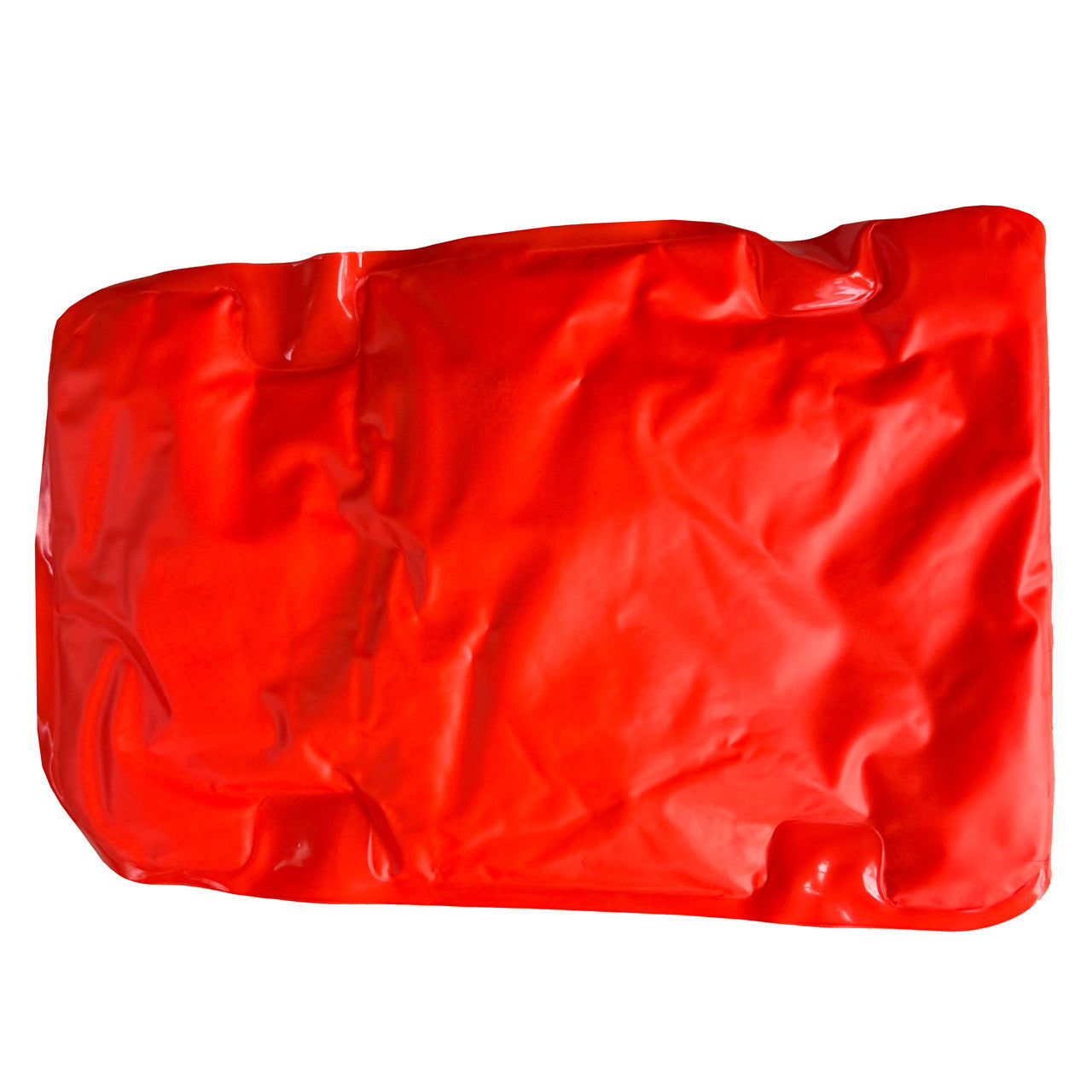FASPLINT, back