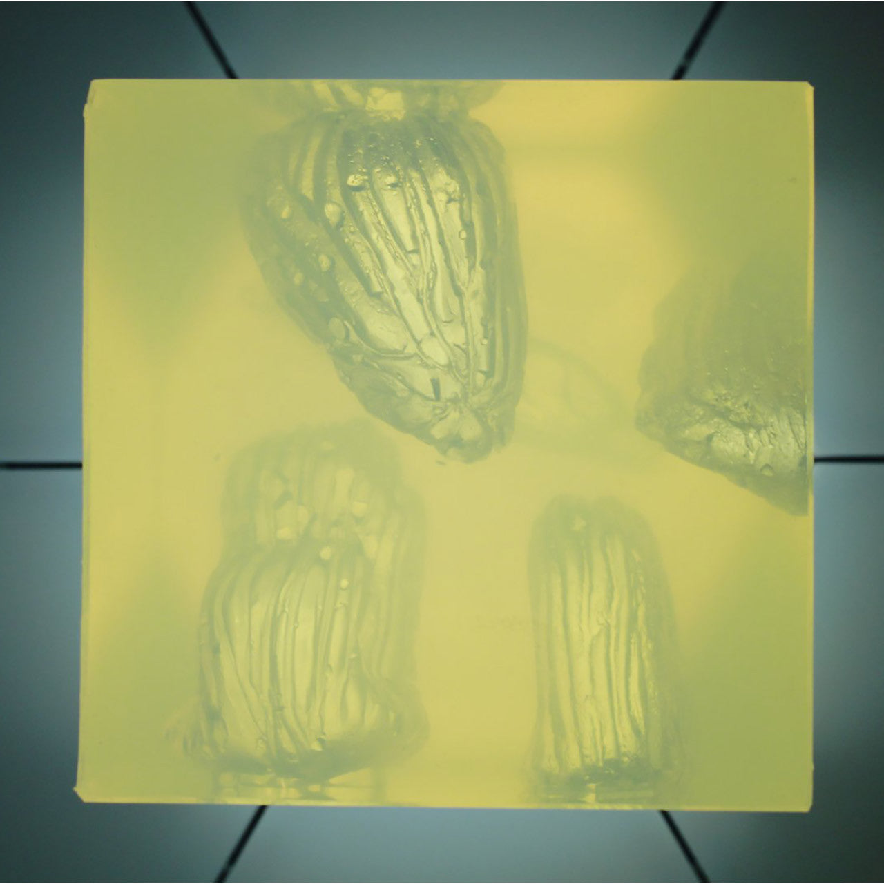 Wound Cube by Phokus Research showing simulated gunshot wounds