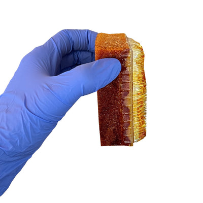 Povidone Iodine Surgical Scrub Brush/Sponge, in hand