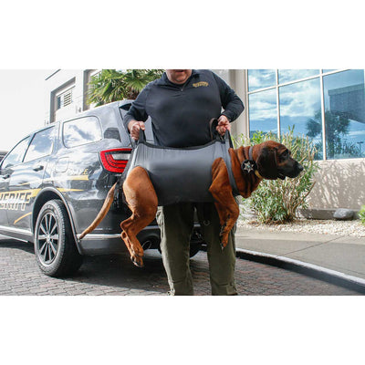 QuikLitter K9, in use