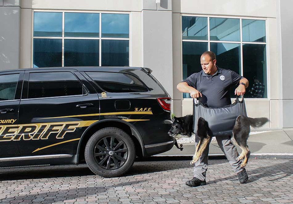 Dog in a Quiklitter K9 being carried by a deputy
