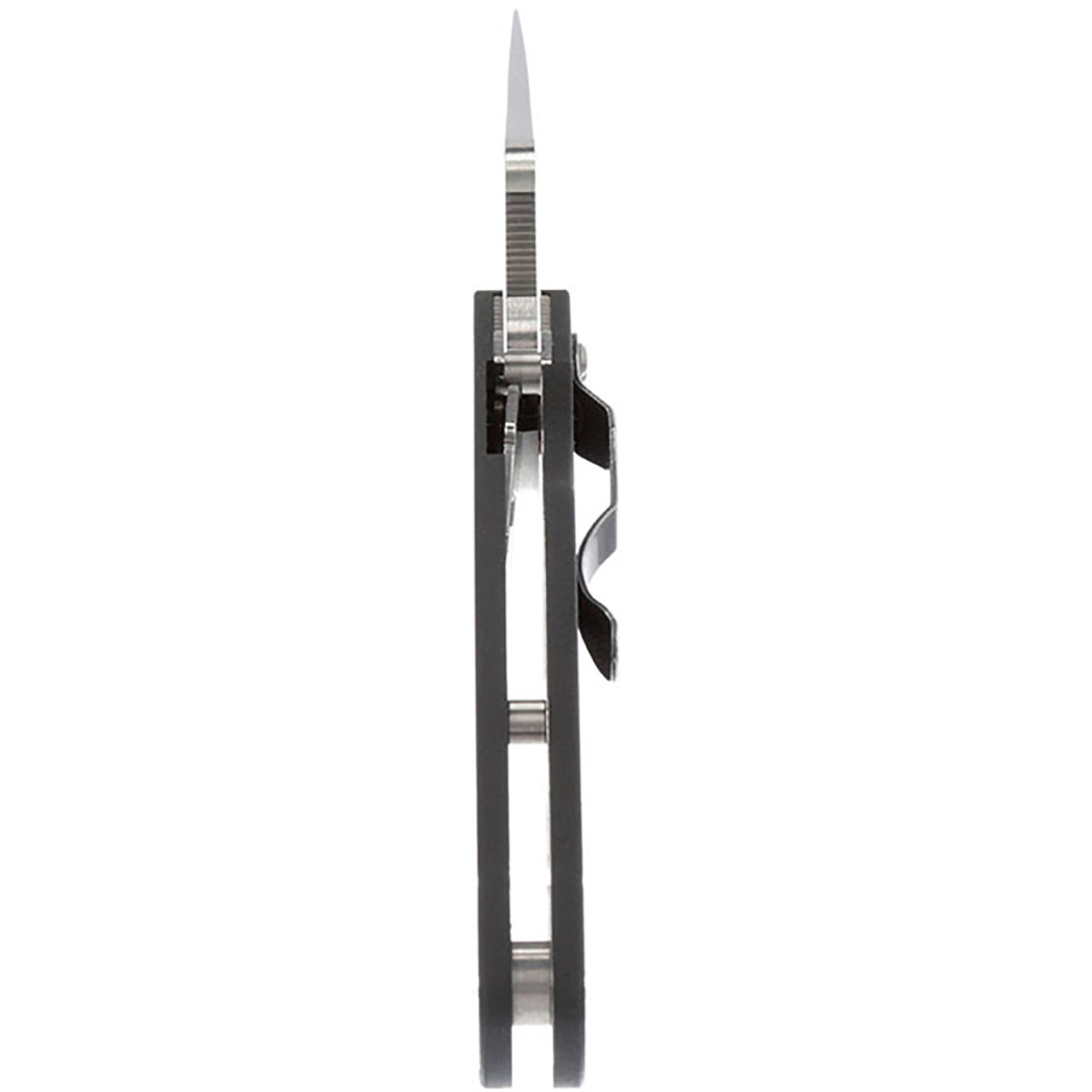 Spyderco Para Military 2 G-10 Knife, side
