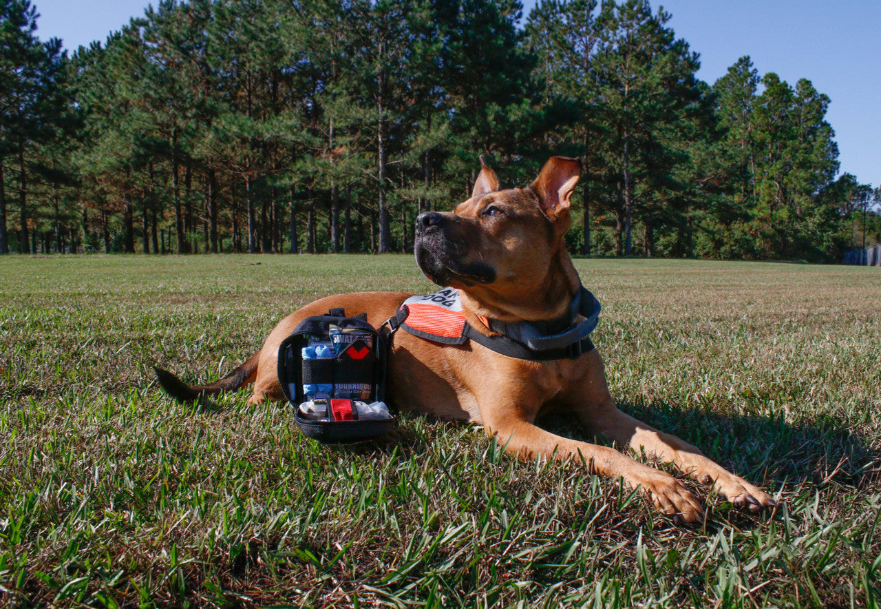 Search and Rescue Dog with K9 IFAK, open