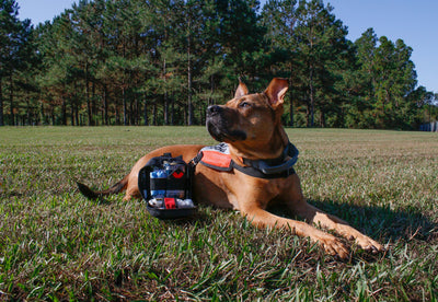 Search and Rescue Dog with K9 IFAK, open