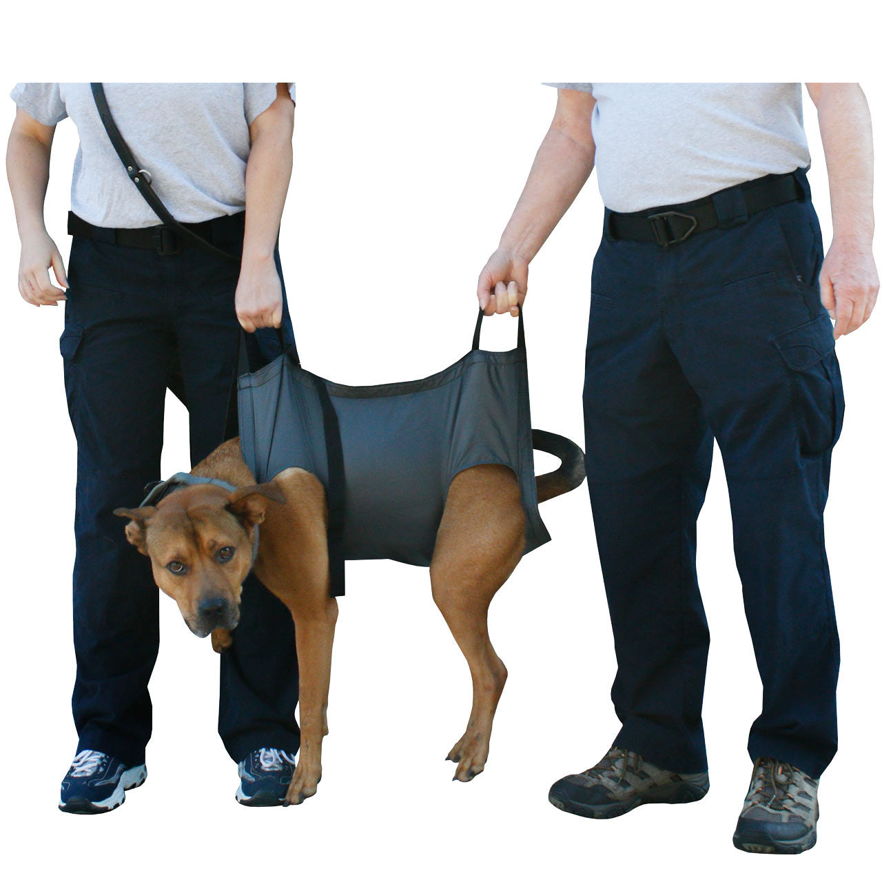 QuikLitter K9, in use