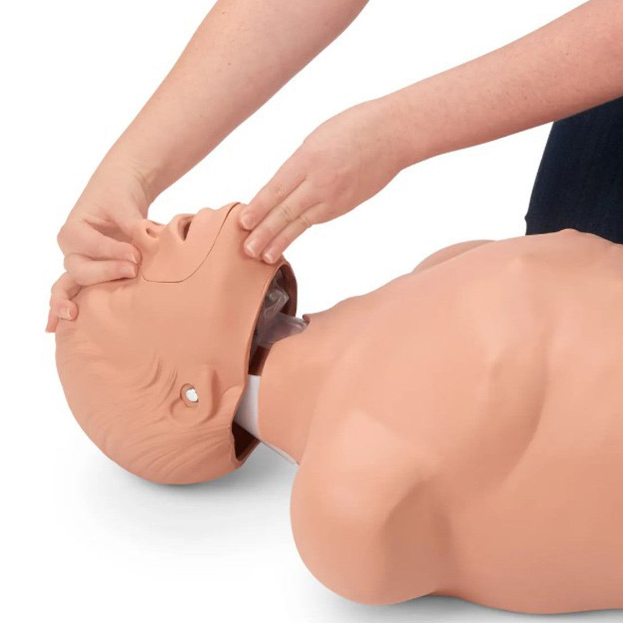 Simulaids Brad Compact CPR Training Manikin with Carry Bag