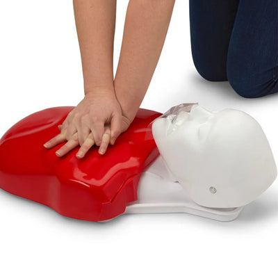 Life/form Basic Buddy CPR Manikin, 5-Pack