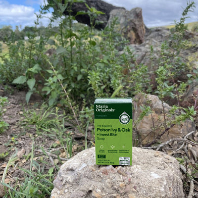 Poison Ivy/Oak + Insect Bite Soap
