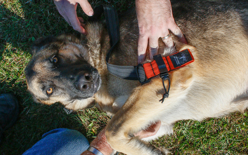 Small Trauma Kits and Supplies