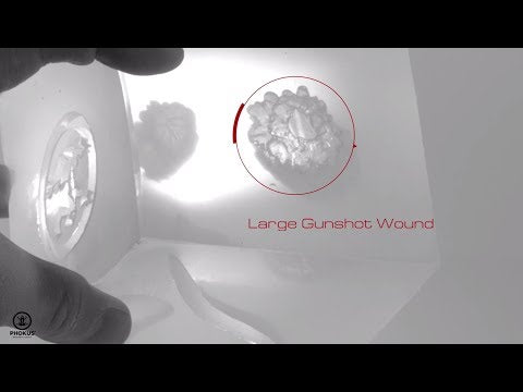 Load video: Clear Blood Simulant for Wound Cube - 1 oz and 8 oz