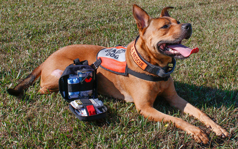 K9 IFAK